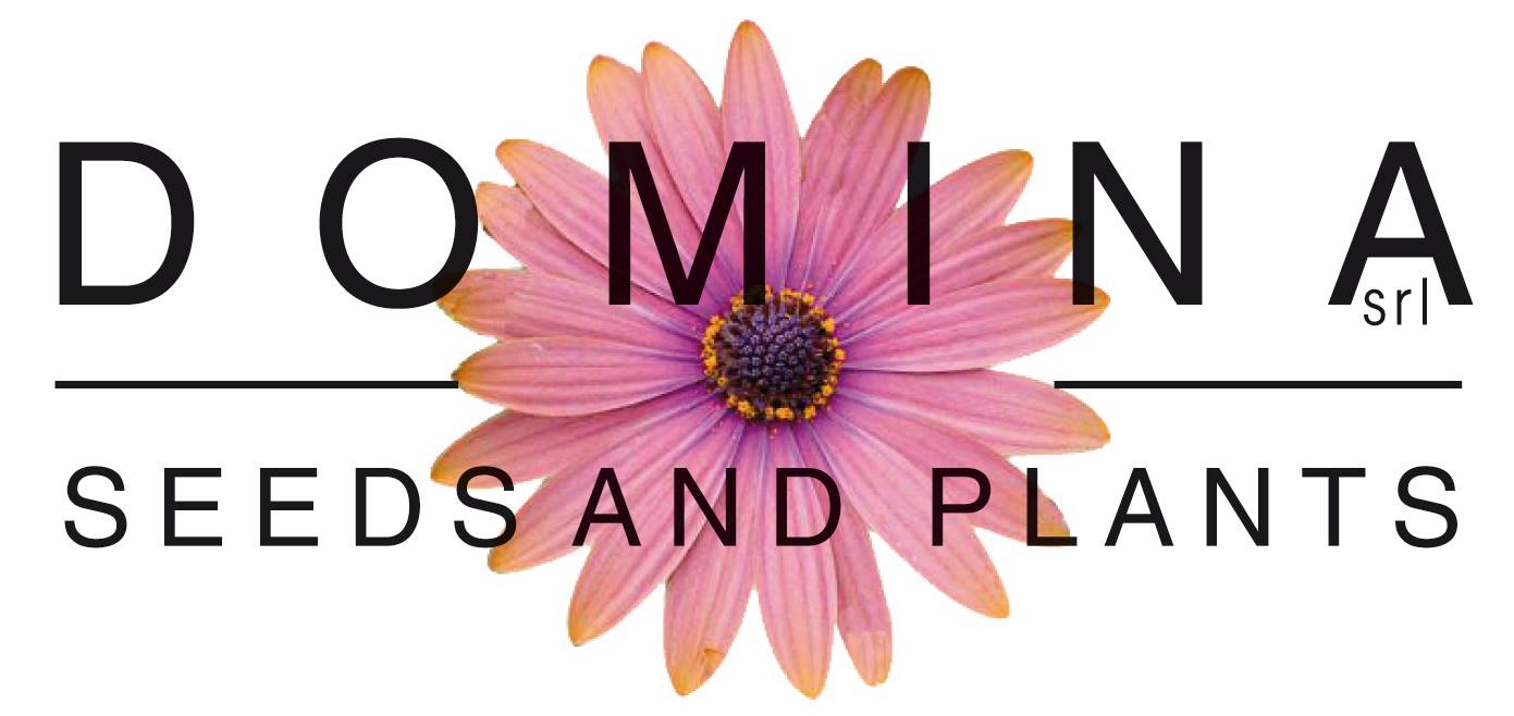 465219744_8961381997227913_4161021683979628831_n