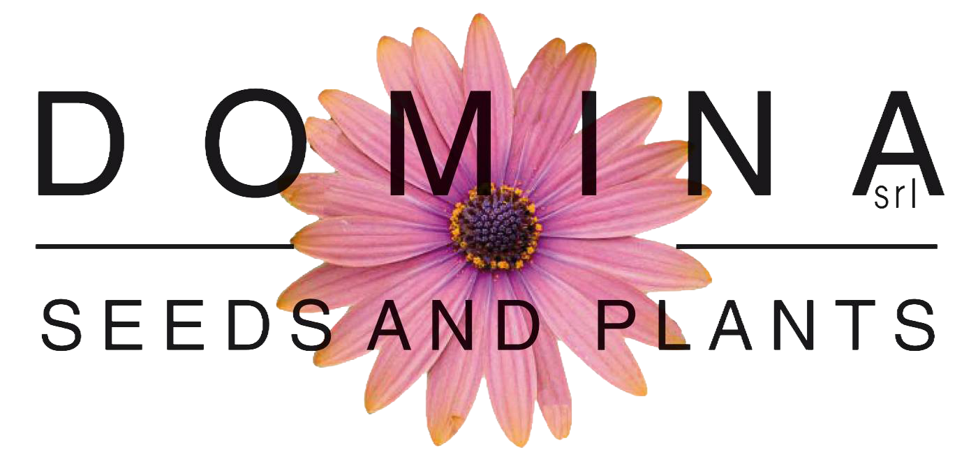 465219744_8961381997227913_4161021683979628831_n