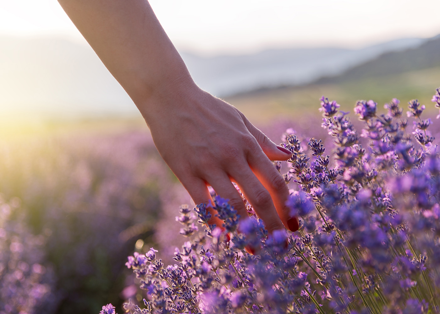 AdobeStock_165064571