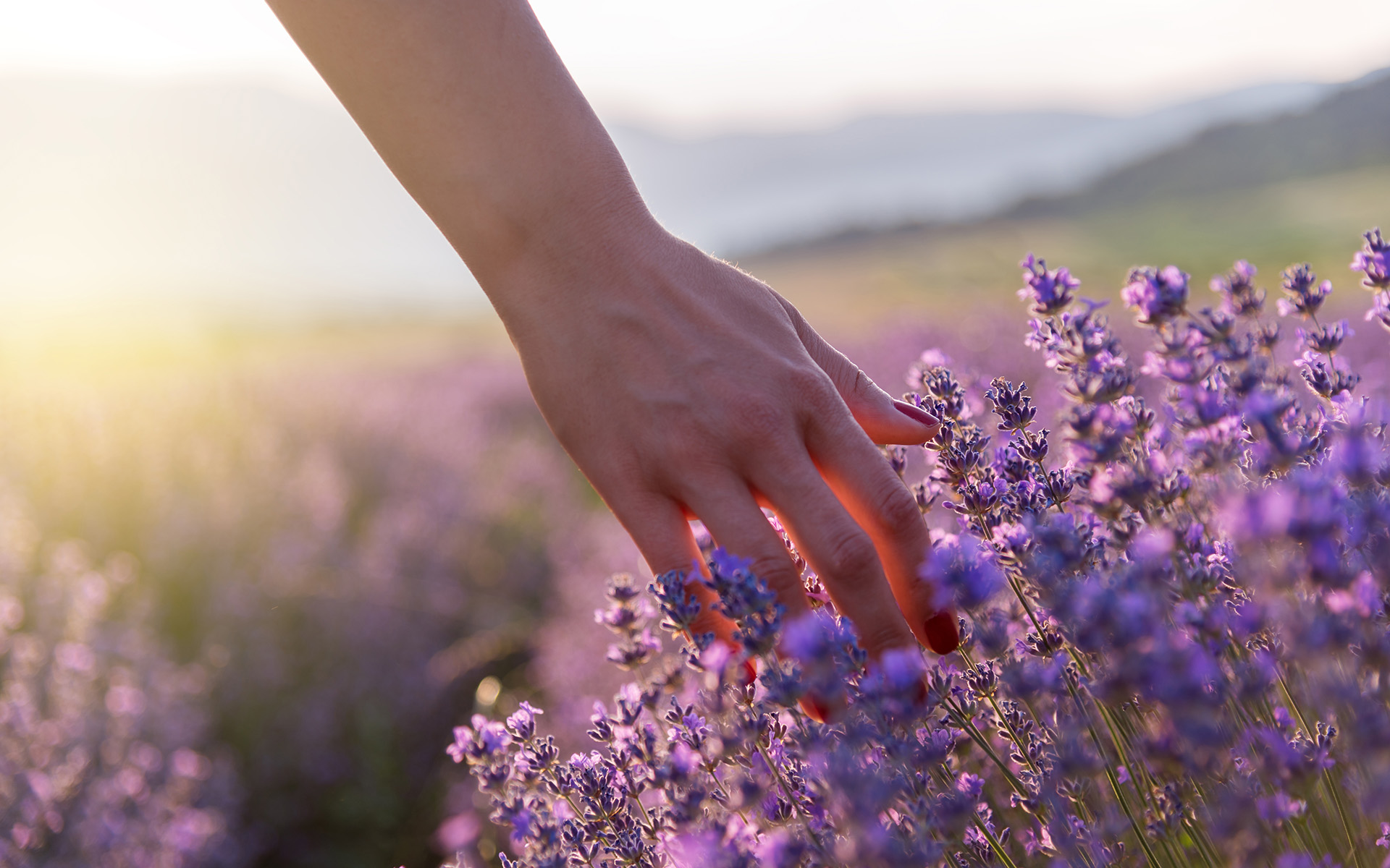 AdobeStock_16506a4571